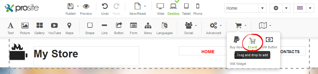 Ecwid in ProSite
