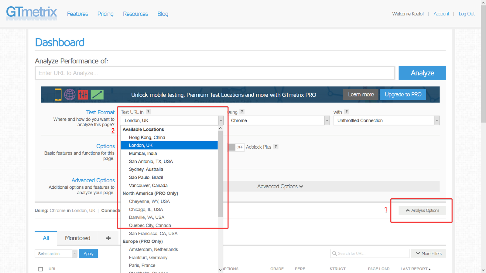 GTmetrix location selector