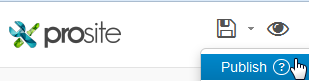 Publish button