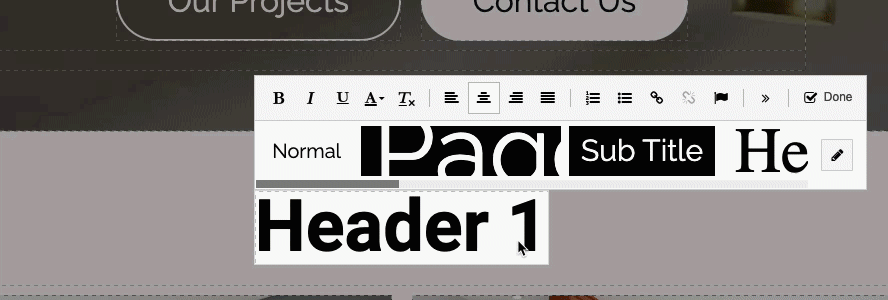 Editing text and formatting options