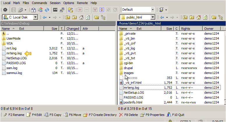 File downloaded to local panel
