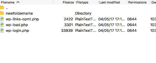 New folder visible in remote pane