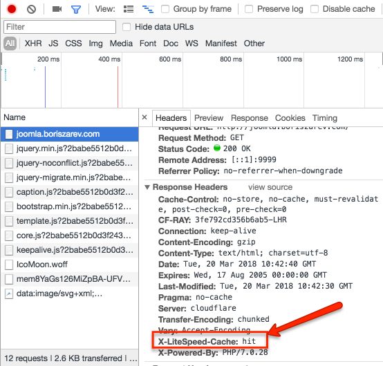 Chrome Developer Tools showing X-LiteSpeed-Cache hit header