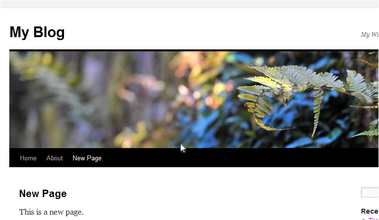 Page displayed on the site