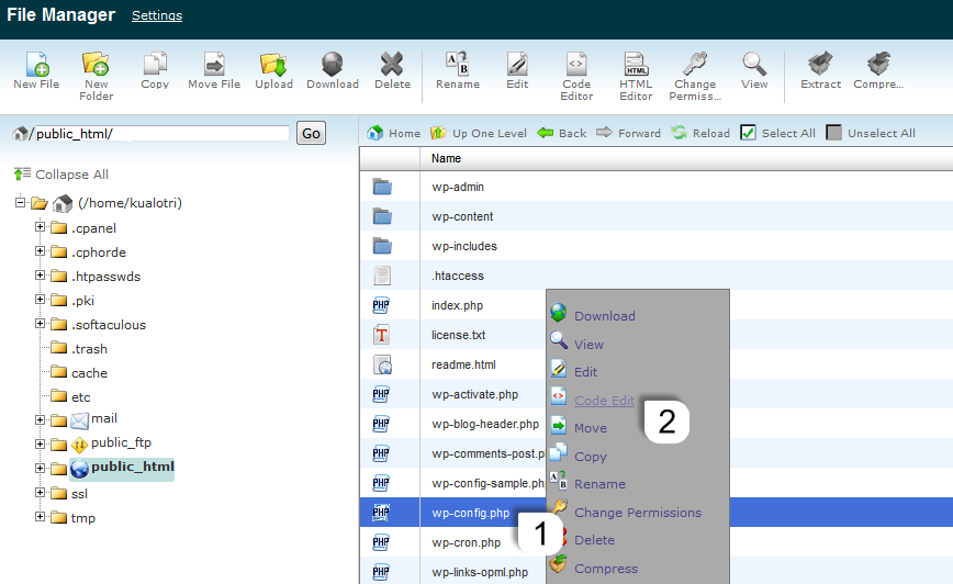 Editing wp-config.php