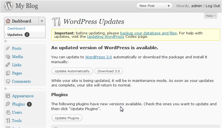 WordPress update screen showing Update Now button