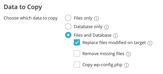 Copy Data options