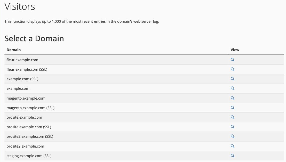 Selecting a domain in the Visitors tool in cPanel