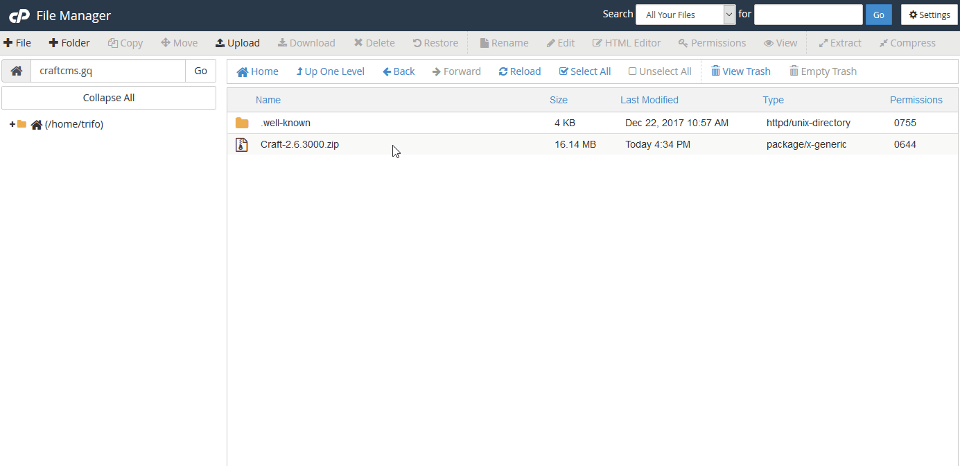 Moving Craft files to the document root