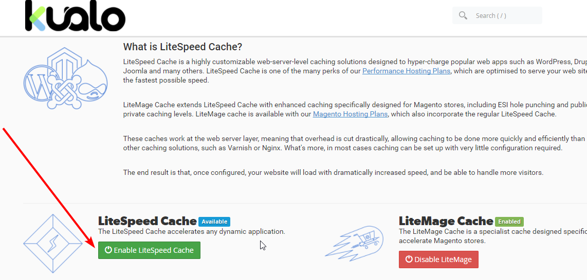 Enable LiteSpeed Cache button