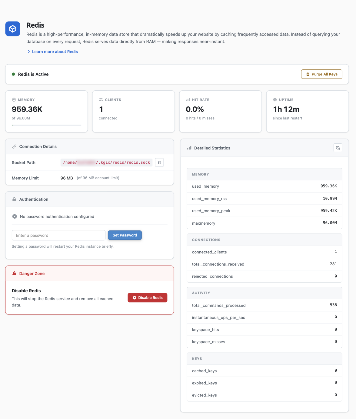 The full Redis dashboard once active
