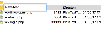 Folder name being edited inline