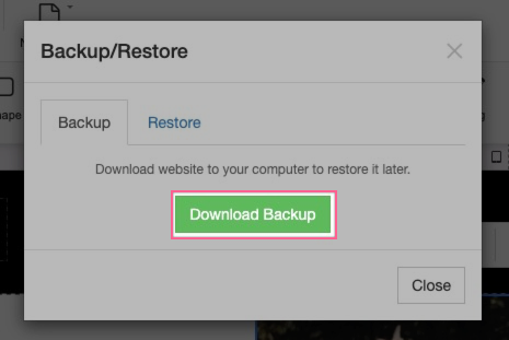 Download Backup button
