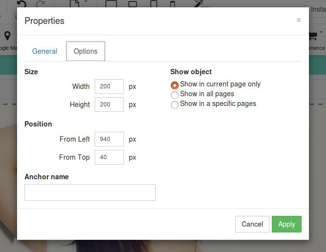 Options tab