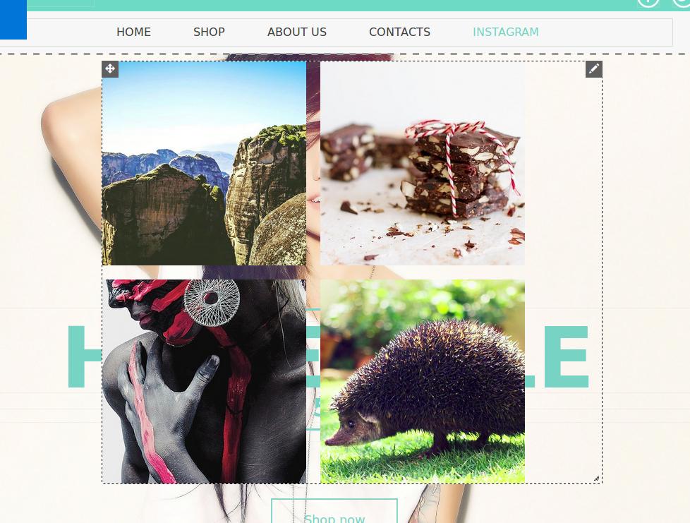 Instagram widget drag and drop