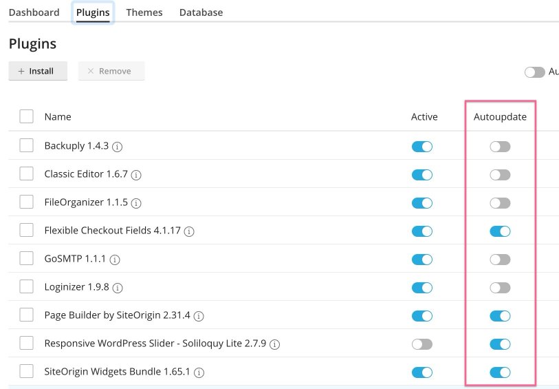 WP Toolkit auto-update status