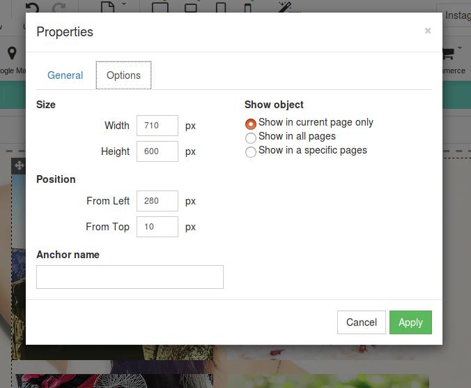 Options tab