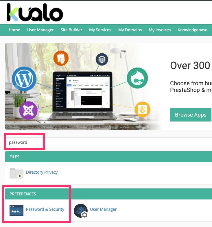 cPanel Password & Security