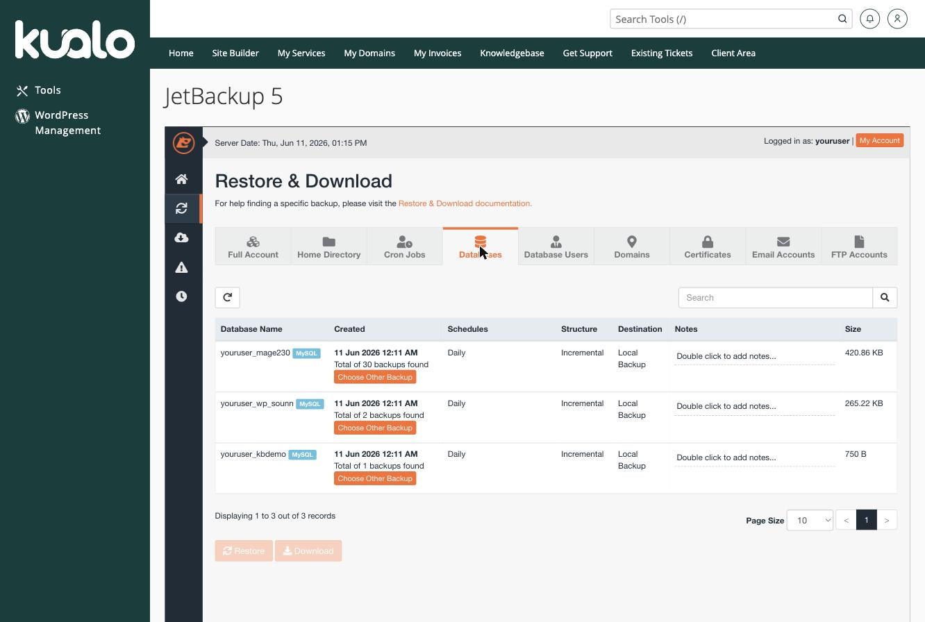 The Databases tab in JetBackup, listing database backups