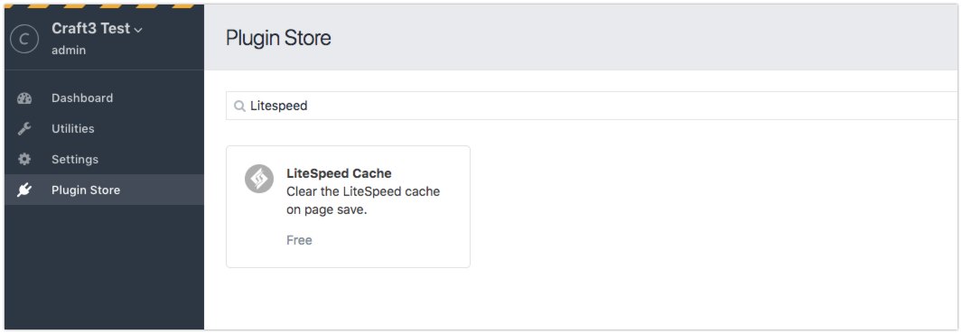 Searching for LiteSpeed Cache in the Plugin Store