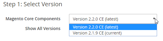 Magento Core Components version panel