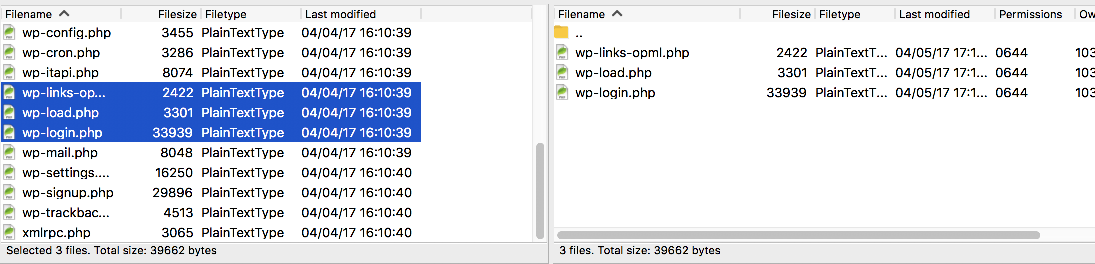 Uploaded files visible in the remote panel
