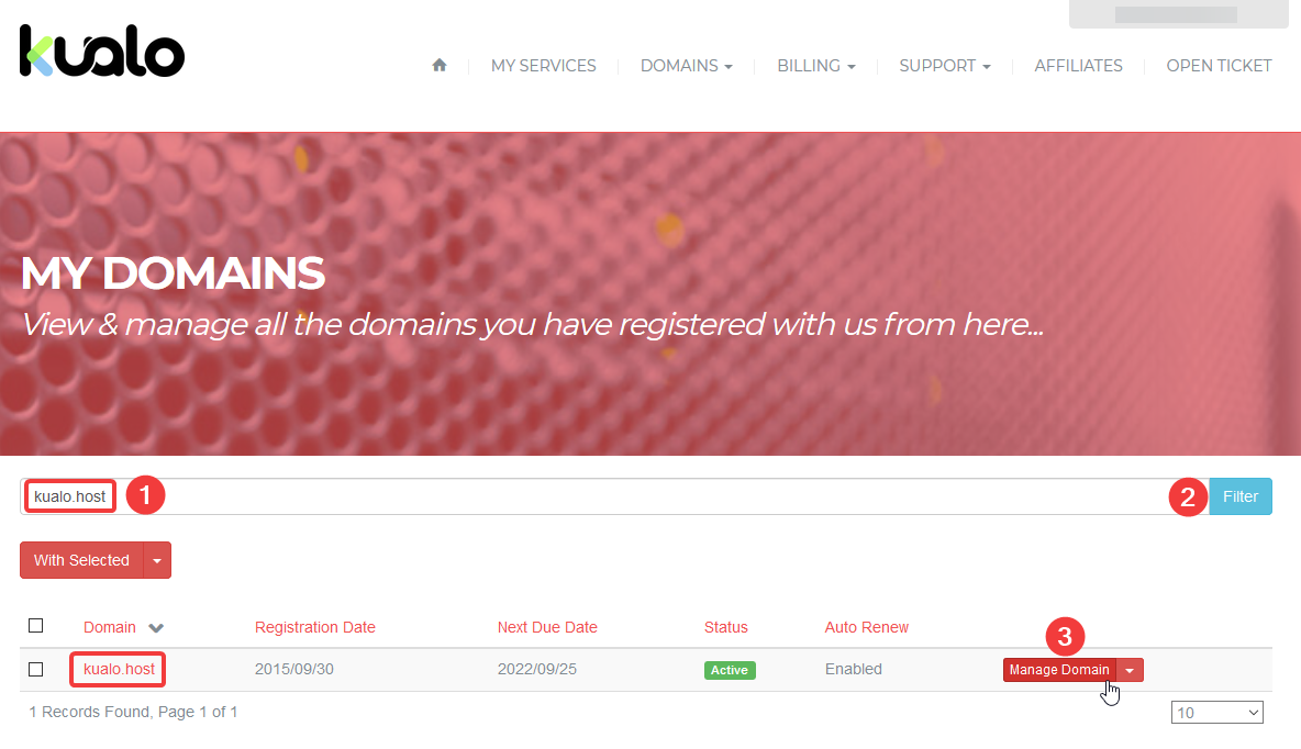 Manage Domain button