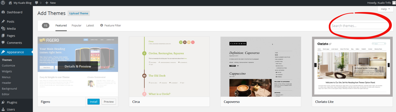 Search themes field