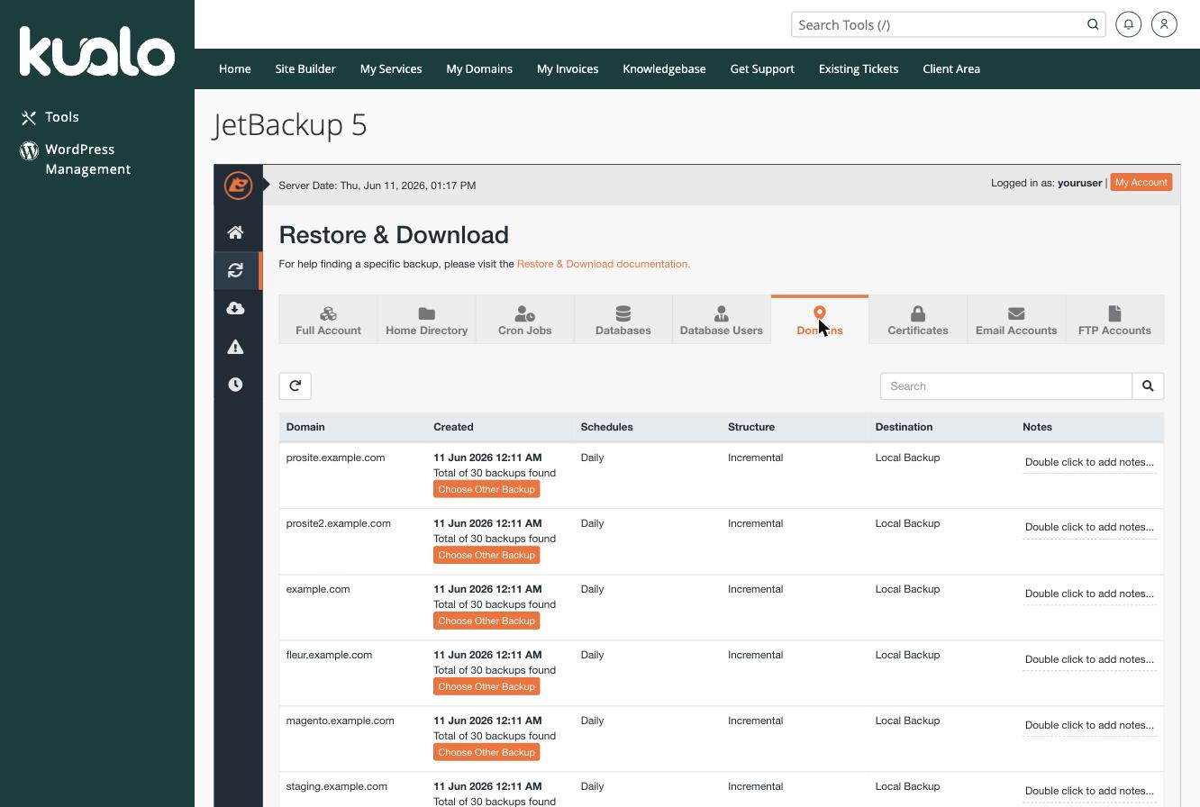 The Domains tab in JetBackup, listing DNS zone backups for each domain