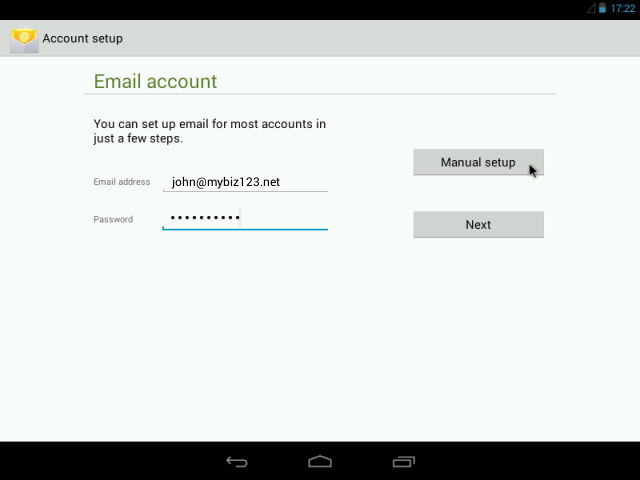 Manual Setup screen