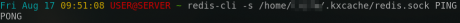 PONG response from Redis