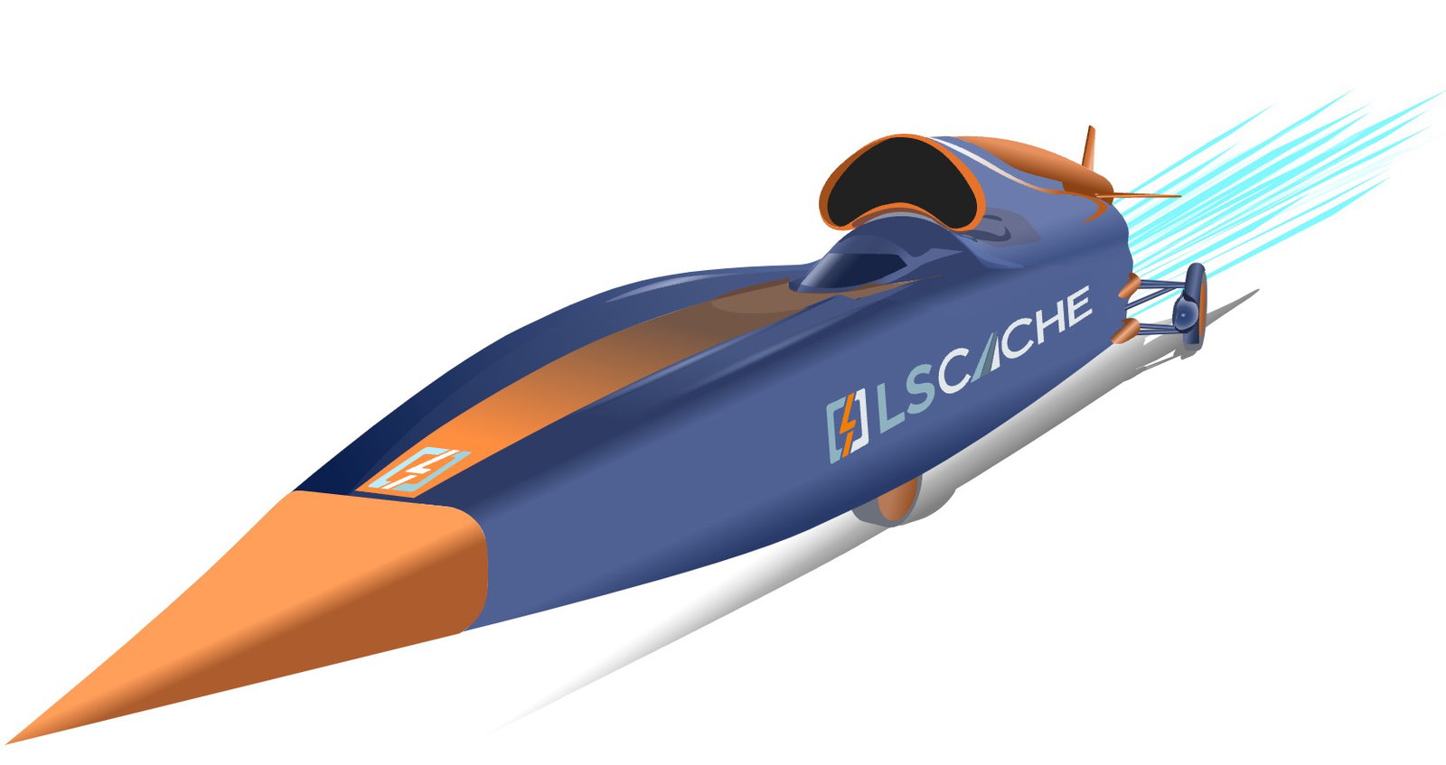 LiteSpeed Cache plugin options