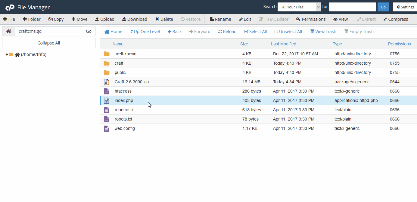 Setting the craftPath variable